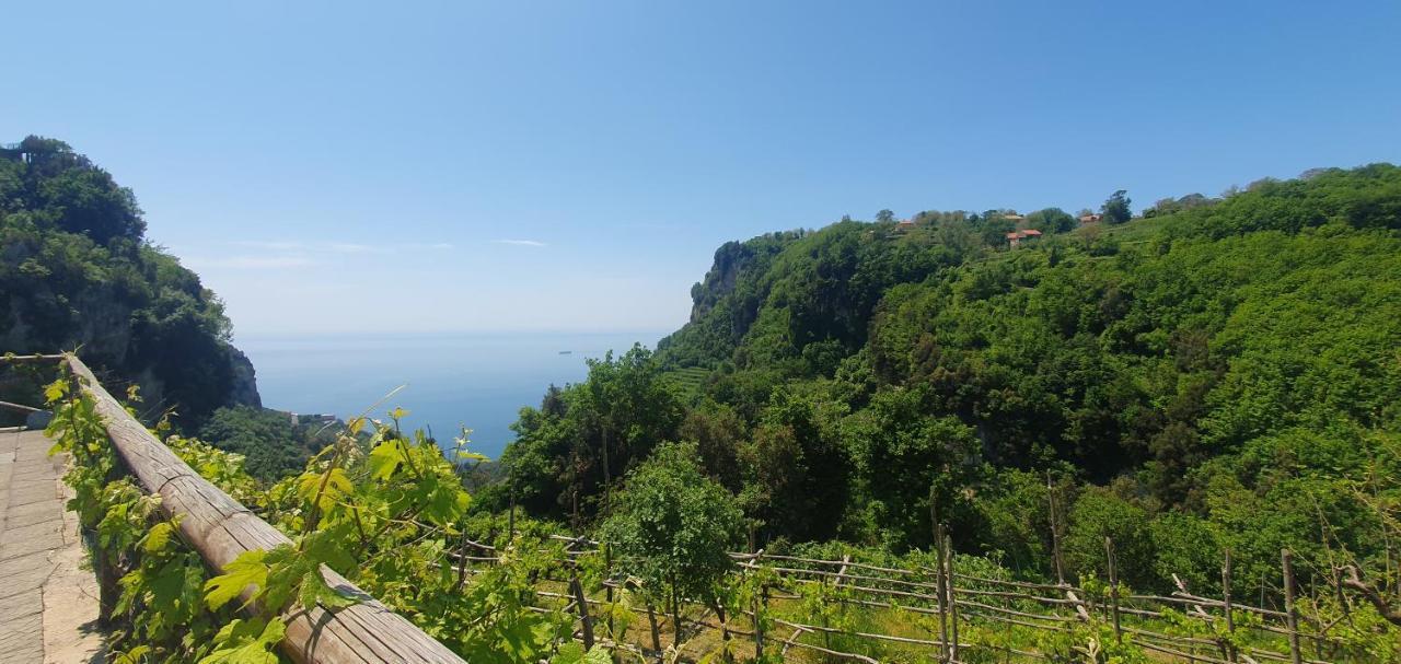 Bed and Breakfast La Cicogna Agerola Exterior foto