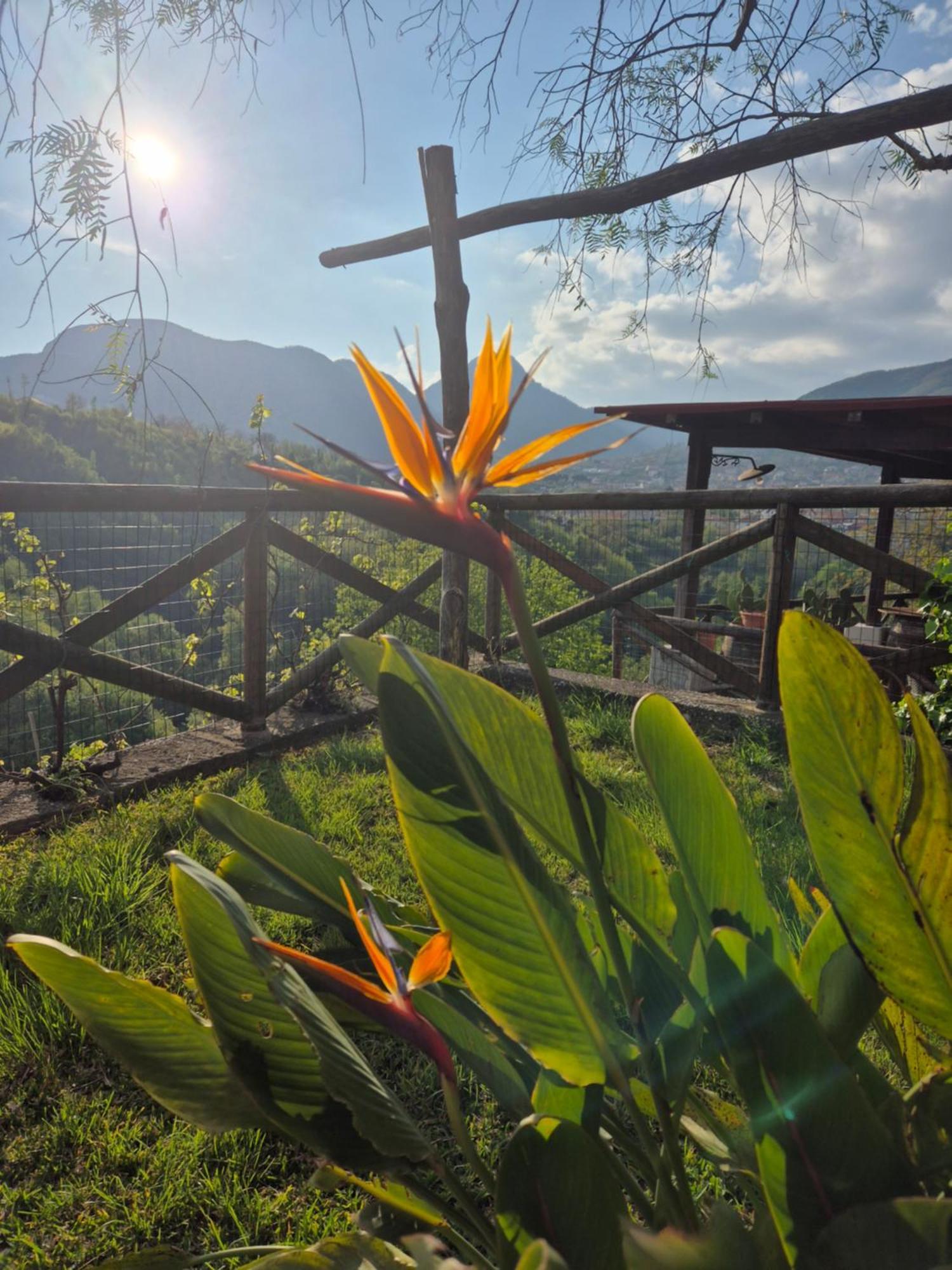 Bed and Breakfast La Cicogna Agerola Exterior foto
